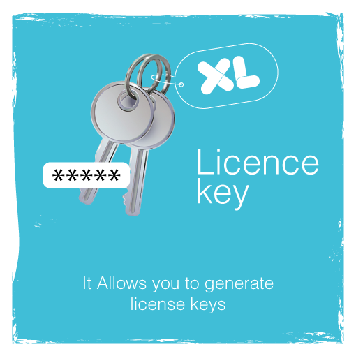 Picture of XL Licence Key